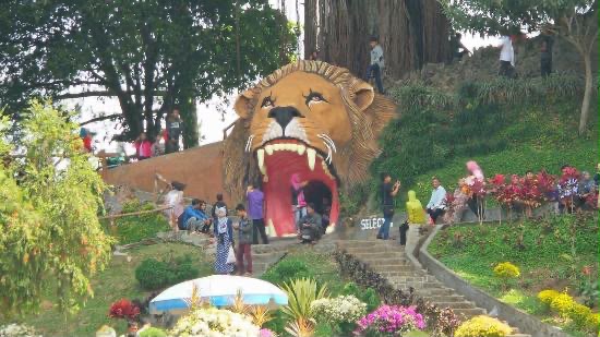Menelusuri Auman Singa di Balik Legenda Selecta: Dari Goa Mistis Hingga Taman Raksasa